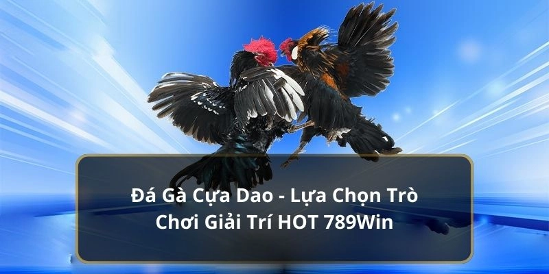 Đá Gà Cựa Dao - Lựa Chọn Trò Chơi Giải Trí HOT 789Win